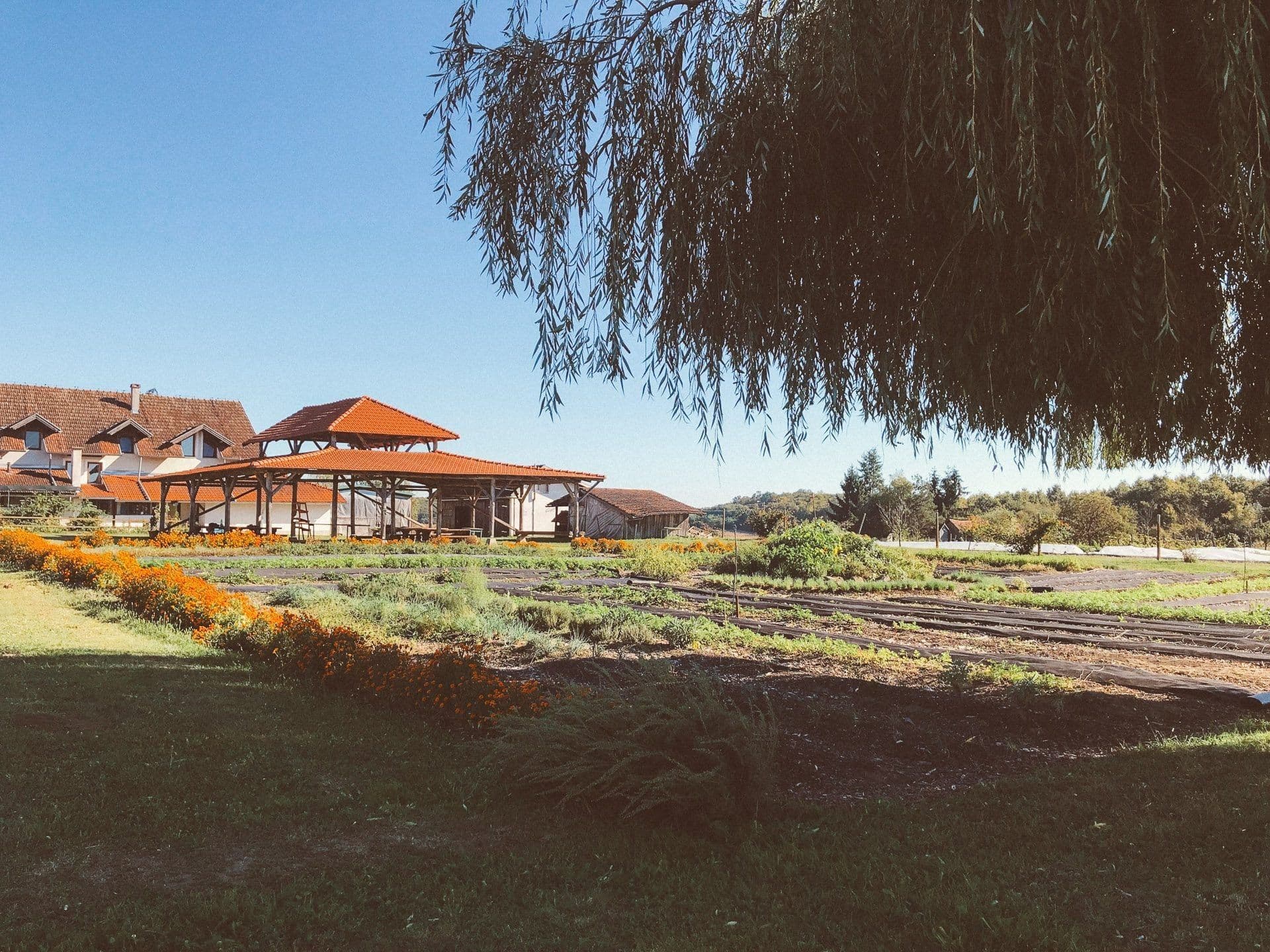 The gardens and buildings of Zrno farm